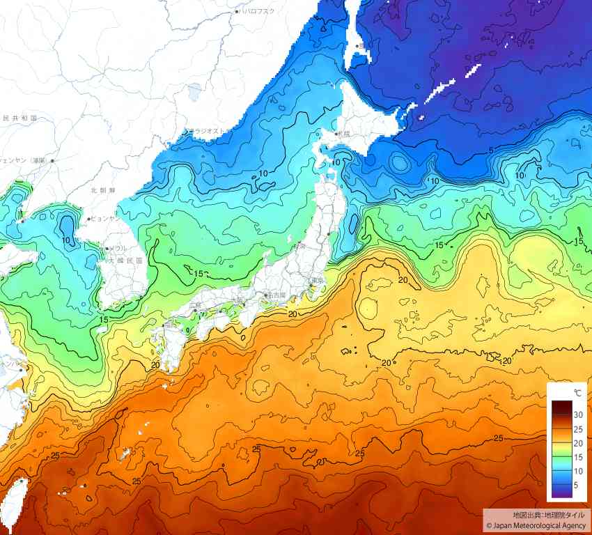 20250512日本の海水温予想