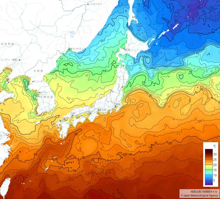 20250607日本の海水温予想