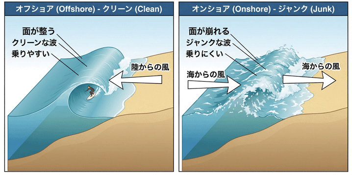 図解「正しく理解する：風向きと波の面（オフショア vs オンショア）」。左右のパネルで風向きが波の質に与える影響を比較している。 左側の「オフショア - クリーン」パネルでは、「陸からの風」を示す矢印が波の正面から吹き付け、波の面が整ってきれいなチューブ波が形成されている様子が描かれている。サーファーが波に乗っており、「面が整う」「クリーンな波」「乗りやすい」と記述されている。 右側の「オンショア - ジャンク」パネルでは、「海からの風」を示す矢印が波の背後から吹き付け、波の面が崩れて白波が立った乱れた状態になっている。テキストには「面が崩れる」「ジャンクな波」「乗りにくい」とある。