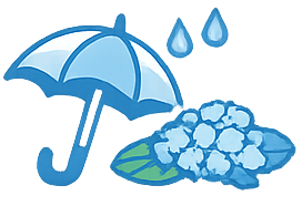 梅雨情報