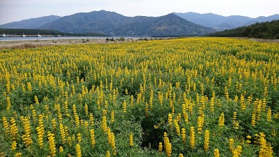 柏原海岸