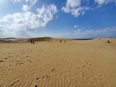 砂丘海岸