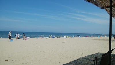 網代浜海水浴場