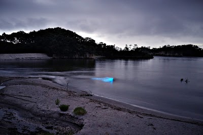 蛤浜