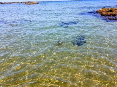 ふとろ海水浴場