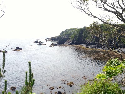 根組浜
