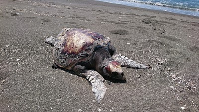 船形海水浴場