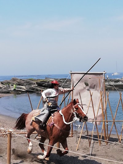 荒井浜海水浴場
