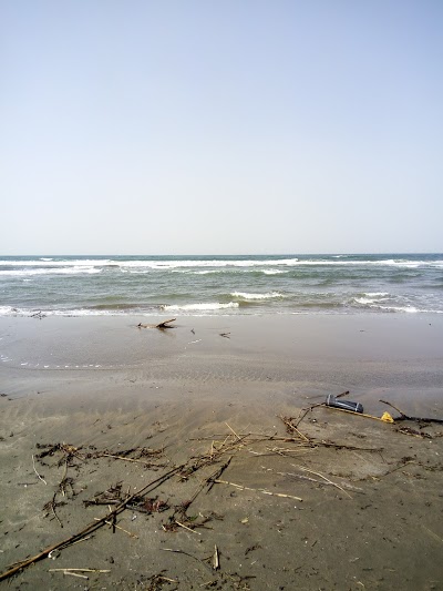 オタネ浜