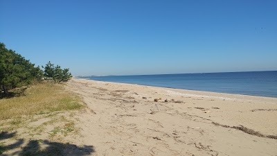 江戸橋海水浴場