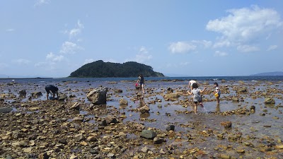 椿山海岸