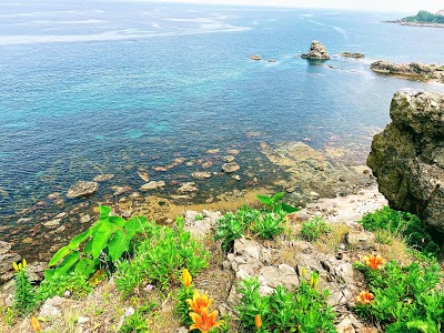 高野崎