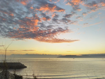 篠尾 海水浴場