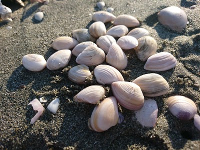 月見ヶ丘海水浴場