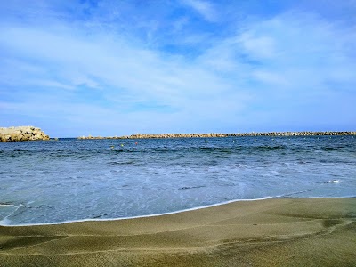 Miss veedol beach