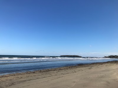 青島海浜