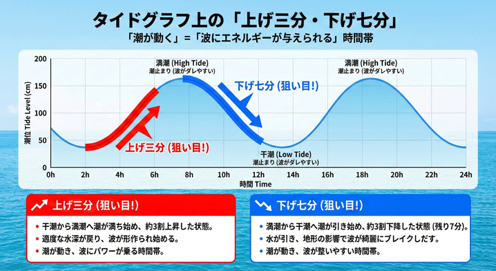サーフィンで良い波とされる時間帯「上げ三分・下げ七分」を示したタイドグラフの図解。「潮が動く＝波にエネルギーが与えられる時間帯」として、干潮から満潮に向かう上げ潮の途中（上げ三分）と、満潮から干潮に向かう下げ潮の途中（下げ七分）がグラフ上で強調され、狙い目である理由が解説されている。