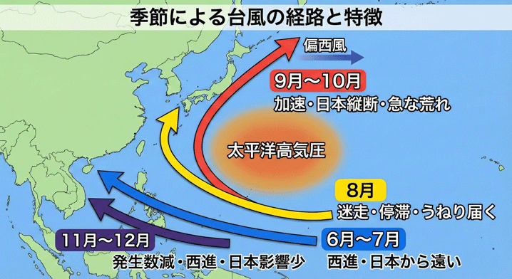 図解：季節（6月〜7月、8月、9月〜10月、11月〜12月）による台風の主な経路と特徴（西進、迷走、加速・縦断など）を示した日本近海の地図。