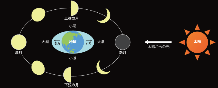 潮 の 満ち 干 き