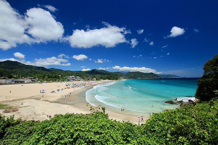 伊豆白浜