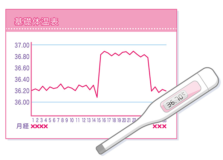 基礎体温表