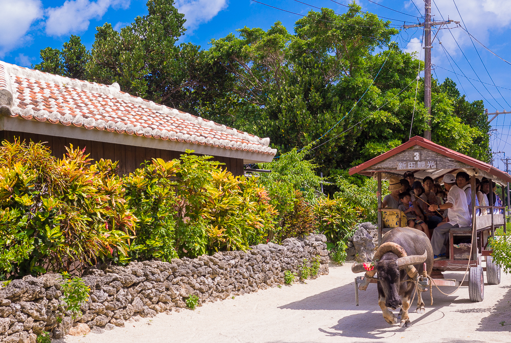 「竹富島」沖縄の古き伝統文化と島時間を贅沢に楽しむ観光スポット！