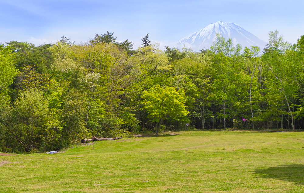西湖野鳥の森公園