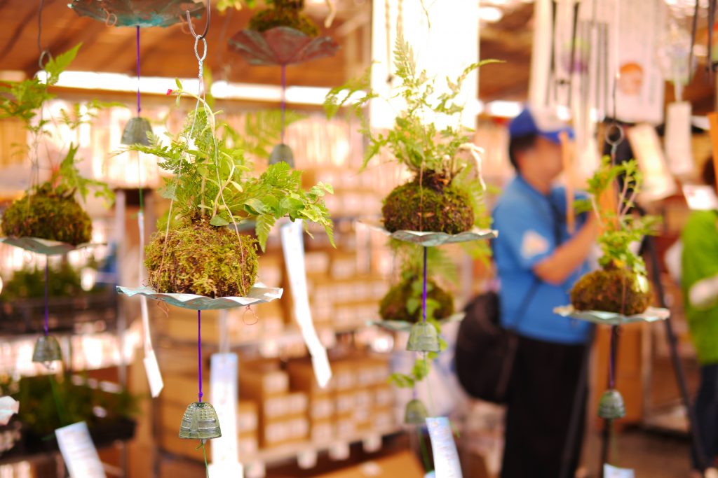 川崎大師風鈴市苔玉風鈴