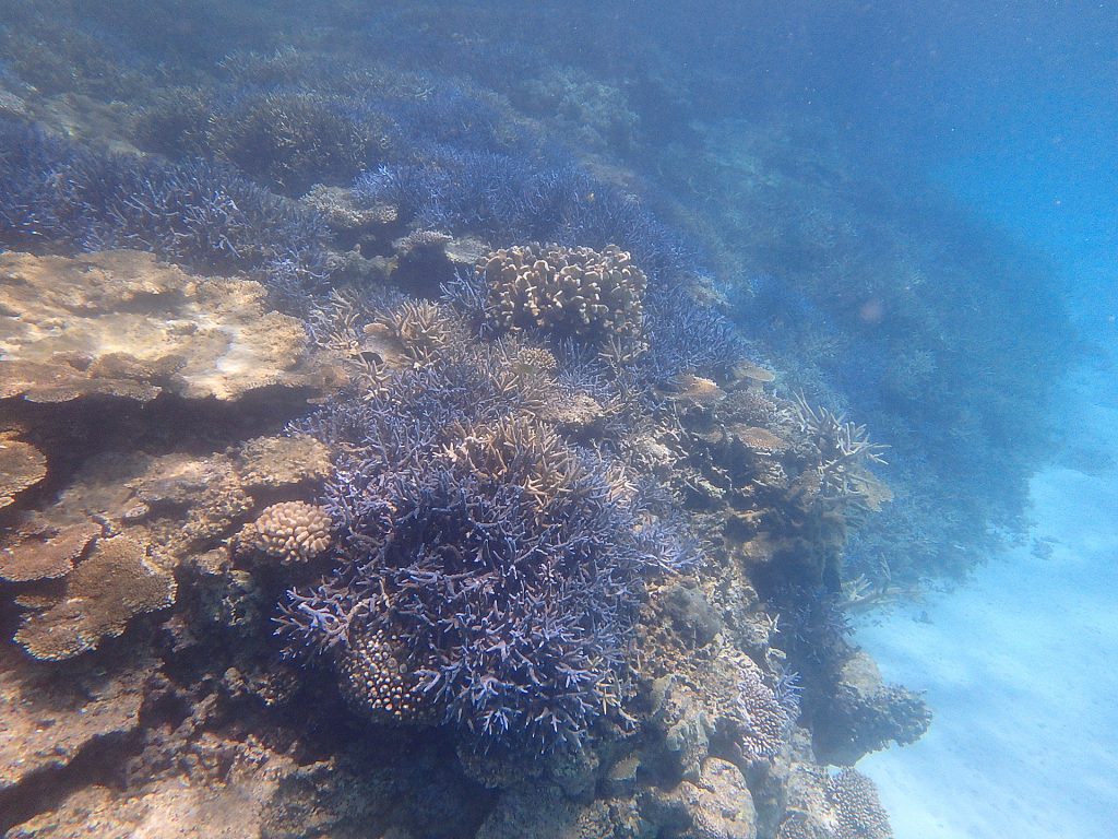 波照間島水中