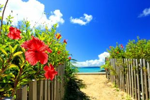 綺麗な海でサーフィンを！ 沖縄のサーフィンポイント特集