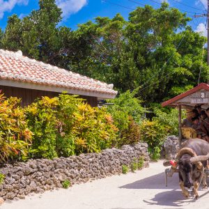 「竹富島」沖縄の古き伝統文化と島時間を贅沢に楽しむ観光スポット！