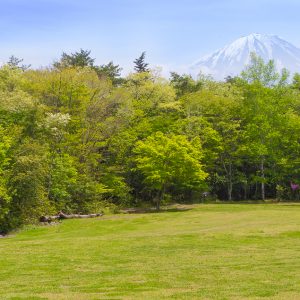 西湖野鳥の森公園～富士山とバードウォッチング～