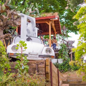 ソルソファーム 川崎 今人気のお洒落な植物園